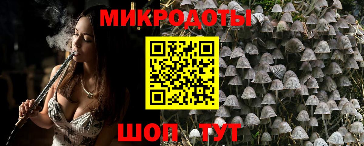Галлюциногенные грибы прущие грибы  Вход с VPN  Отрадное 